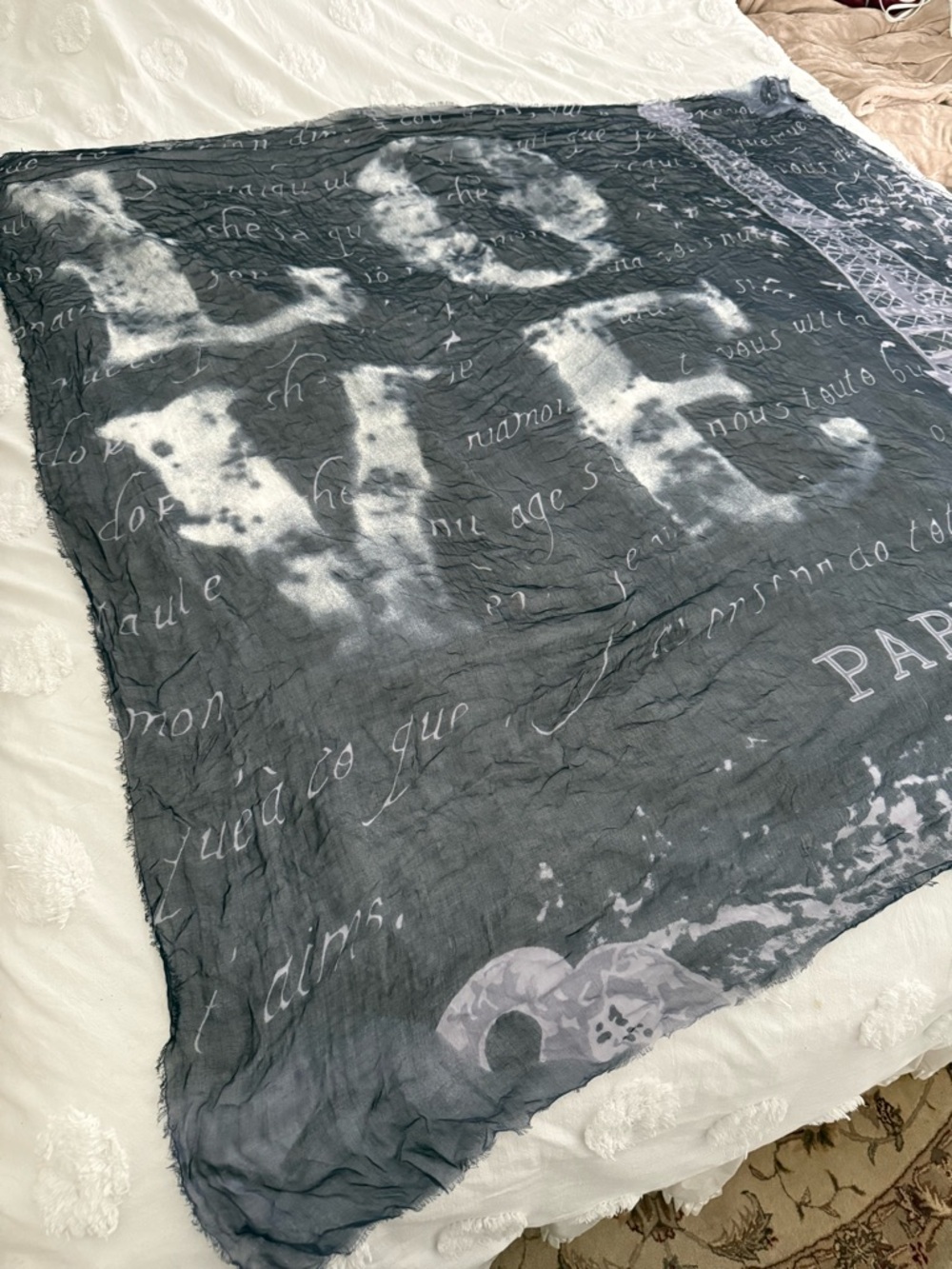 Paris Script Gray Women's Scarf
